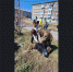 Администрация города Барабинска приняла участие в общегородском субботнике - Город Барабинск