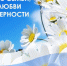 Поздравление с Днем семьи, любви и верности - Барабинский район