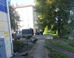 Рабочие ЖКХ замуровали кошек в теплотрассе