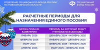 За какой период рассчитывается среднедушевой доход семьи при назначении единого пособия?    - Барабинский район