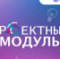 «Проектный модуль» для НКО - Барабинский район
