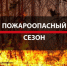 Соблюдайте правила пожарной безопасности в лесах и на прилегающих территориях - Барабинский район