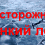 Правила поведения на водоемах  в весенний период - Барабинский район